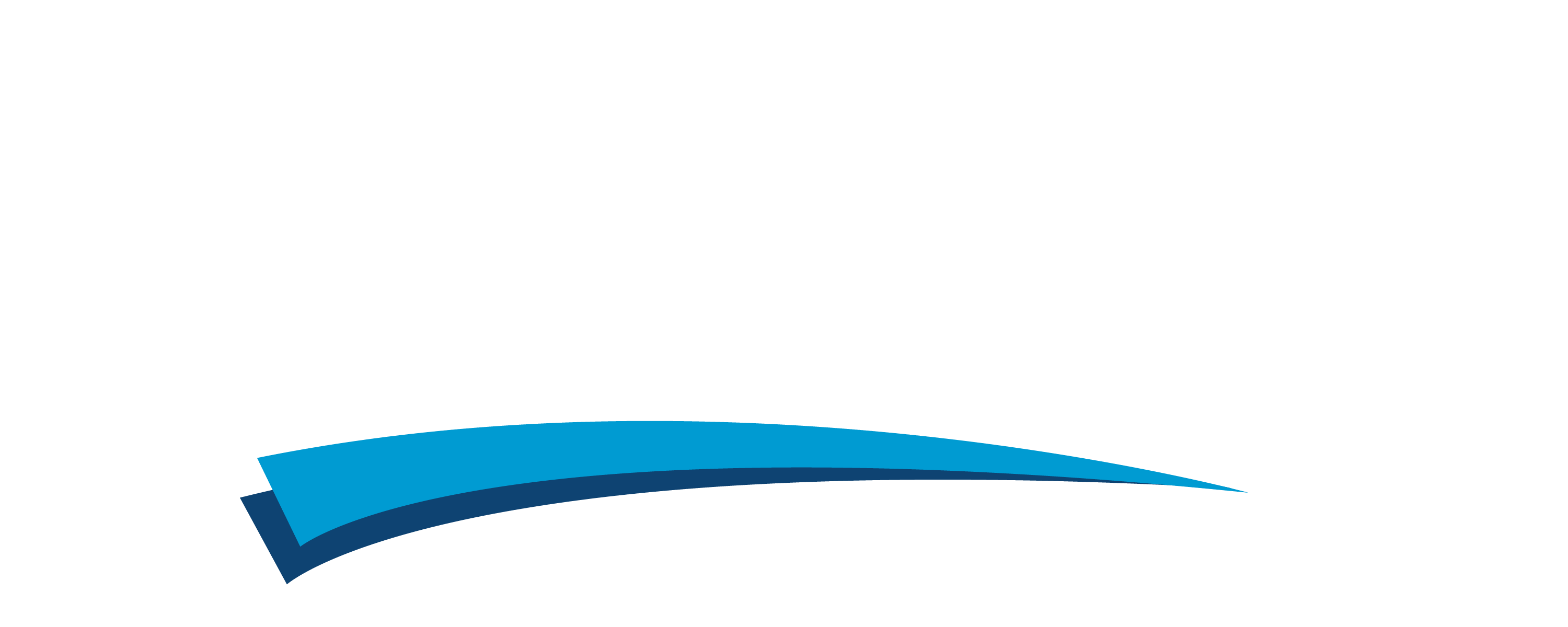 Diverse Infrastructure Logo White (002)