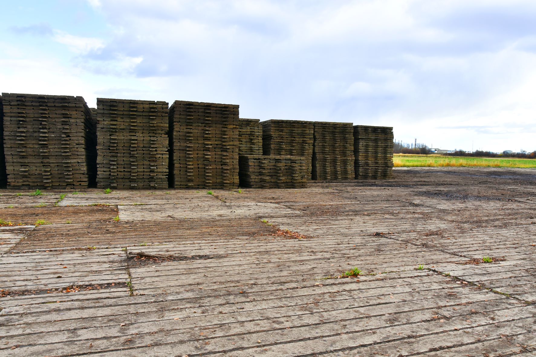 An image of wooden swamp mats used to create temporary road access and preserve the environment.
